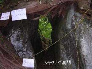 p2.jpg