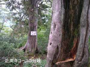 p6.jpg