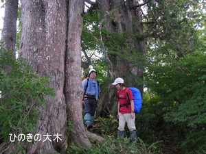 p7.jpg