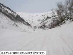 p02.jpg