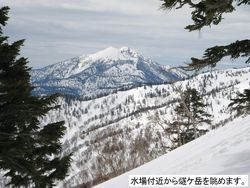 p1.jpg