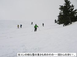 p7.jpg