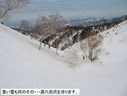 p8.jpg