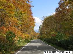 p07.jpg