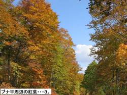 p09.jpg