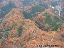 p06.jpg